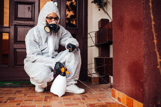 Attic and Crawl Space Rodent Treatment in Taylor